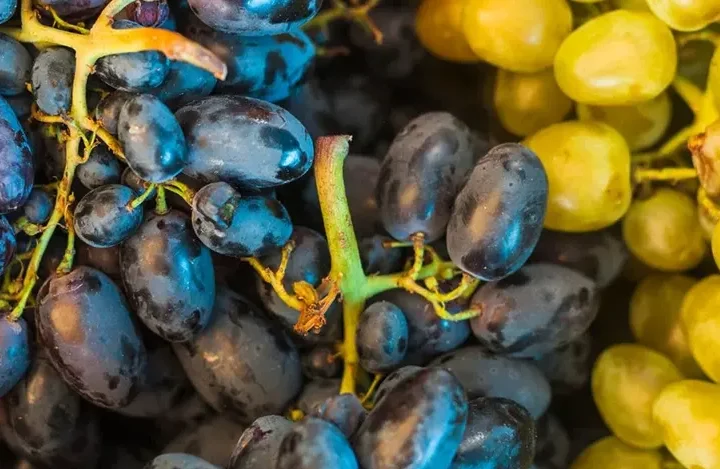 ofrenda de frutos