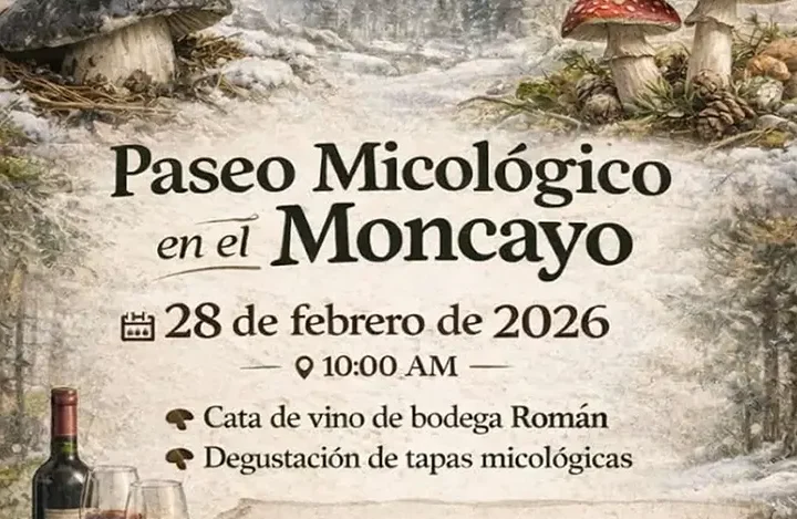 Paseo Micológico en el Moncayo